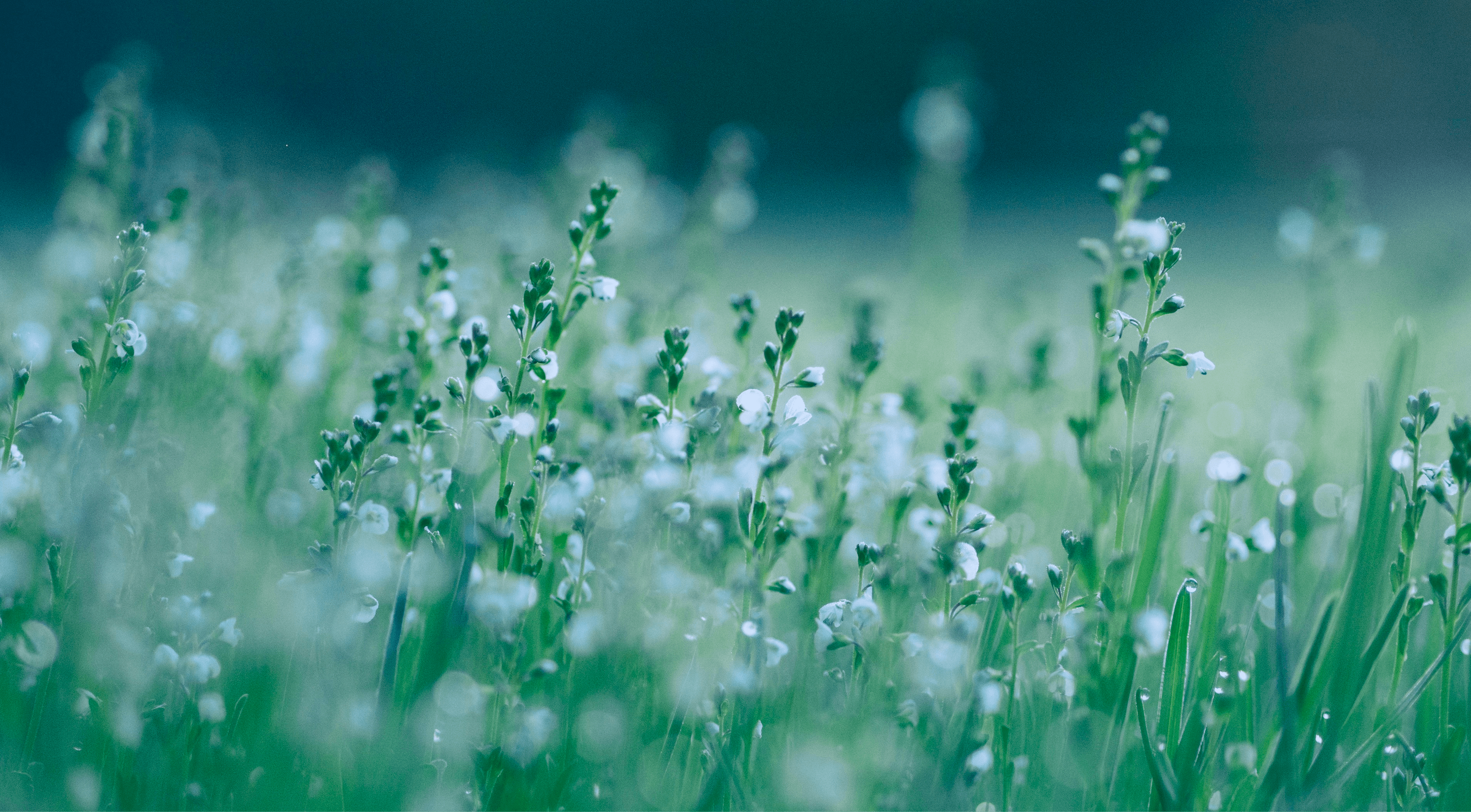 Hero image for innergize case study